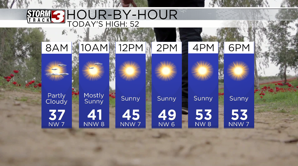 Hourly forecast